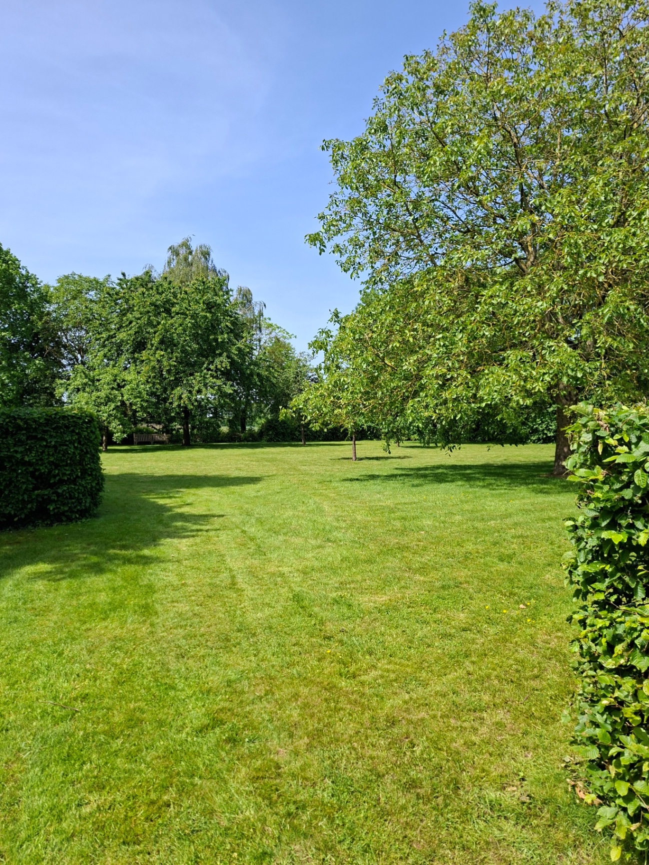 Onderhouden grasveld met bomen en hagen