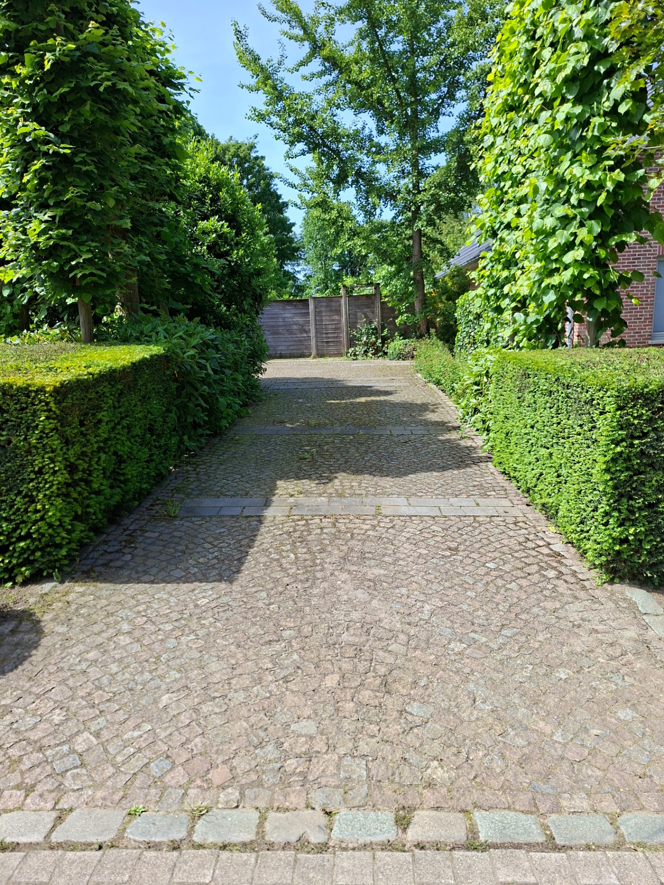 Oprit in kasseien met strak gesnoeide hagen aan beide zijden
