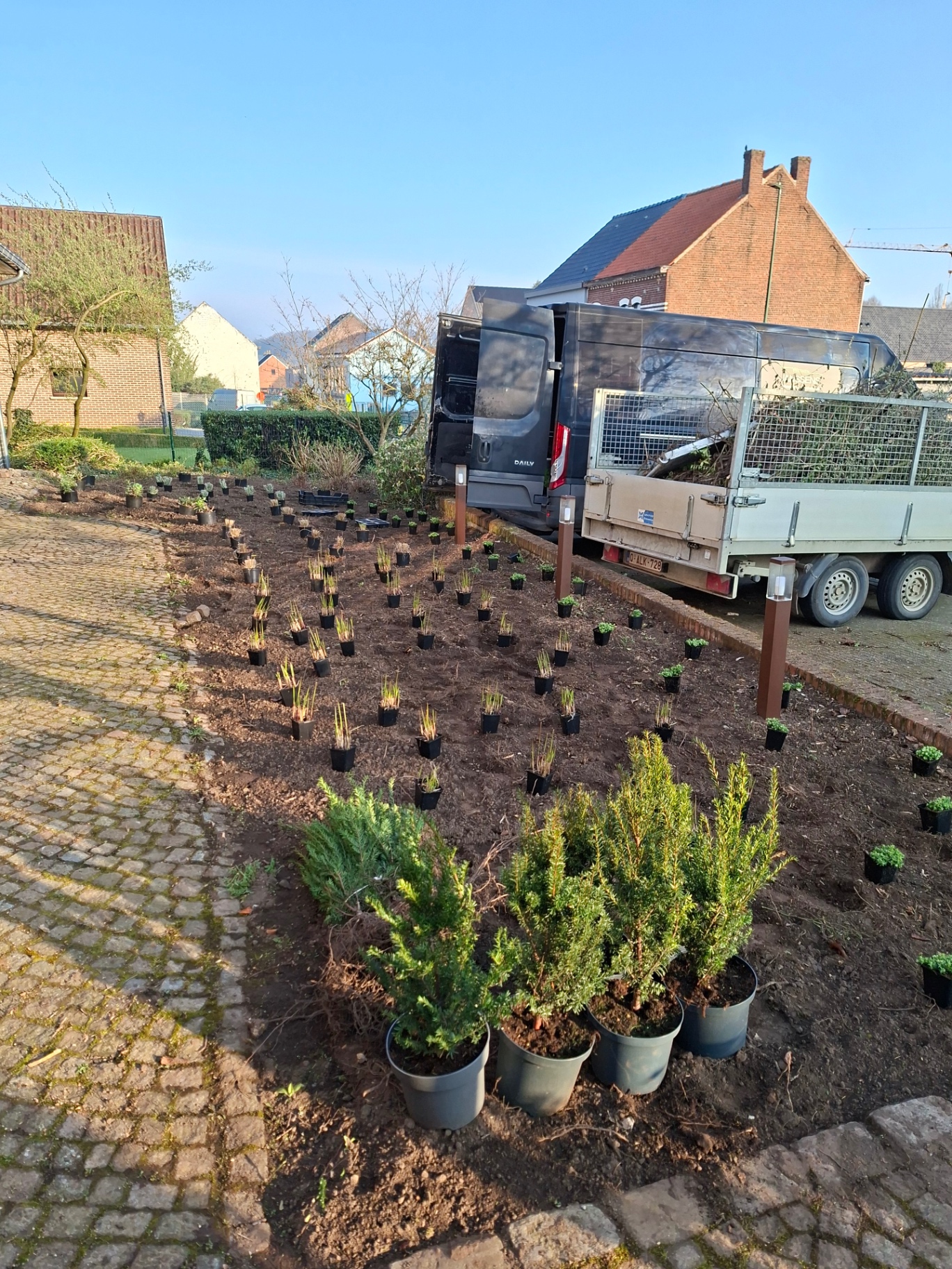 Tuin met nieuw aangeplante grassen en struiken