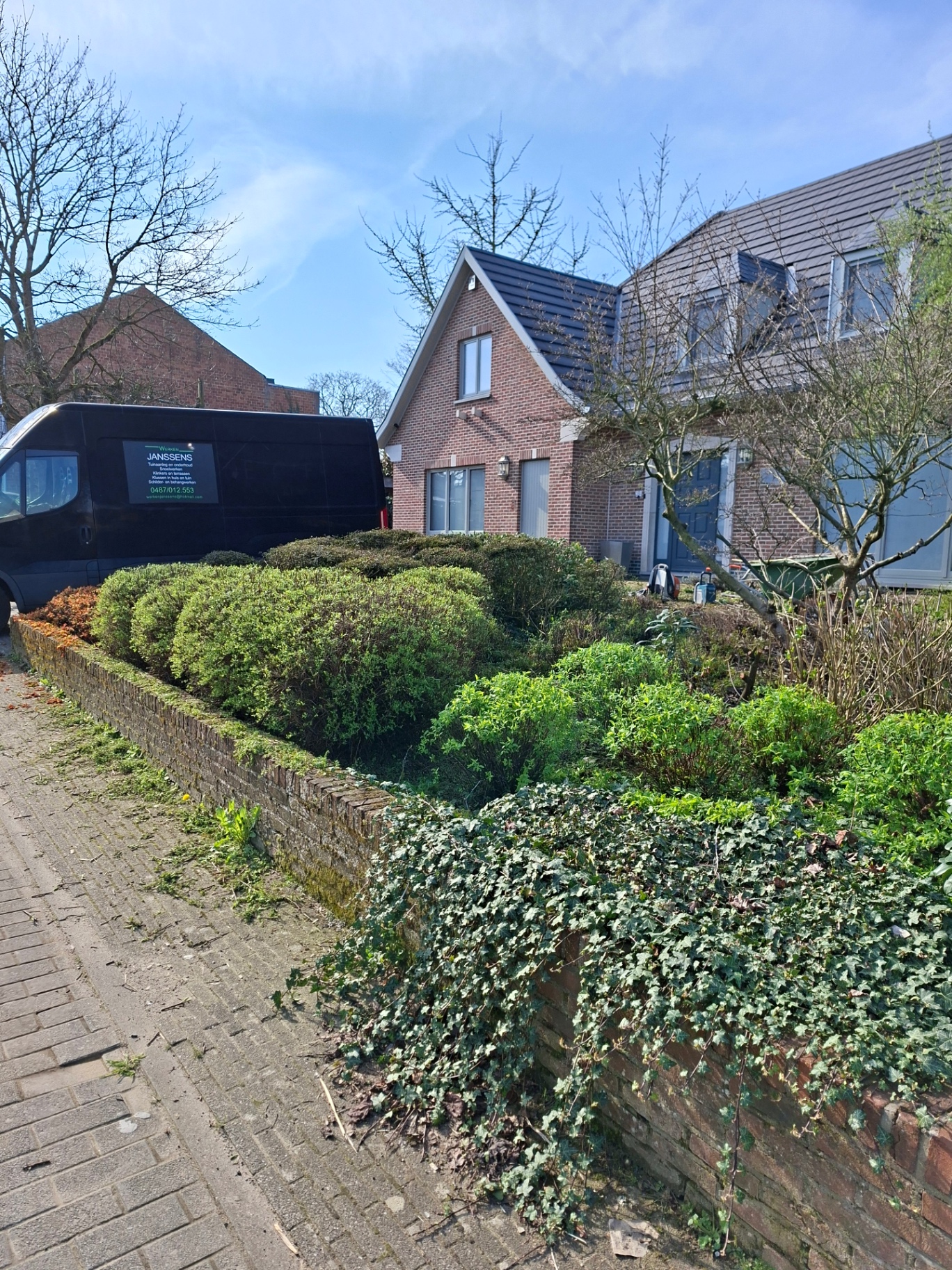 Voortuin met overgroeide hagen vóór heraanleg